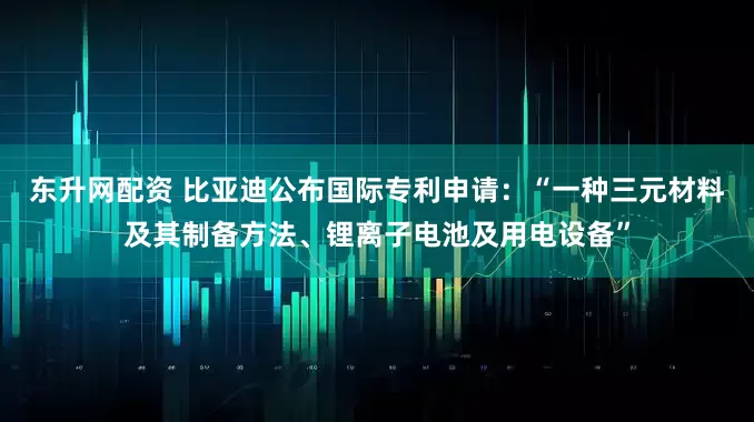 东升网配资 比亚迪公布国际专利申请：“一种三元材料及其制备方法、锂离子电池及用电设备”