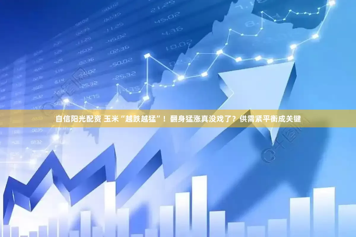 自信阳光配资 玉米“越跌越猛”！翻身猛涨真没戏了？供需紧平衡成关键
