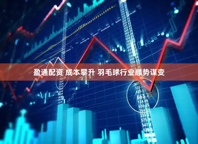 盈通配资 成本攀升 羽毛球行业顺势谋变