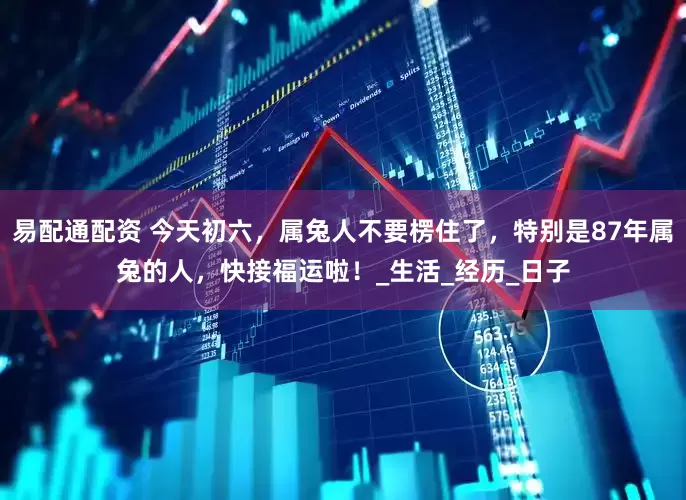 易配通配资 今天初六，属兔人不要楞住了，特别是87年属兔的人，快接福运啦！_生活_经历_日子