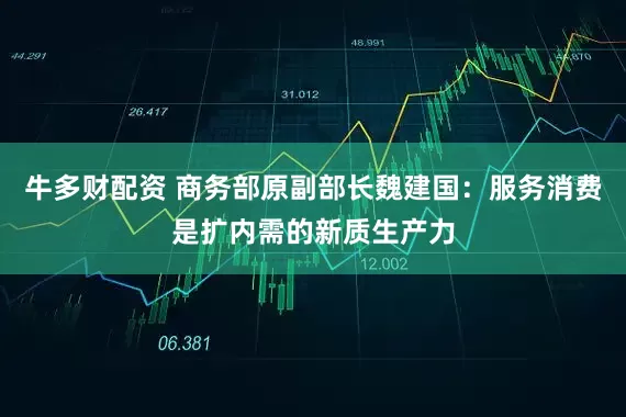 牛多财配资 商务部原副部长魏建国：服务消费是扩内需的新质生产力